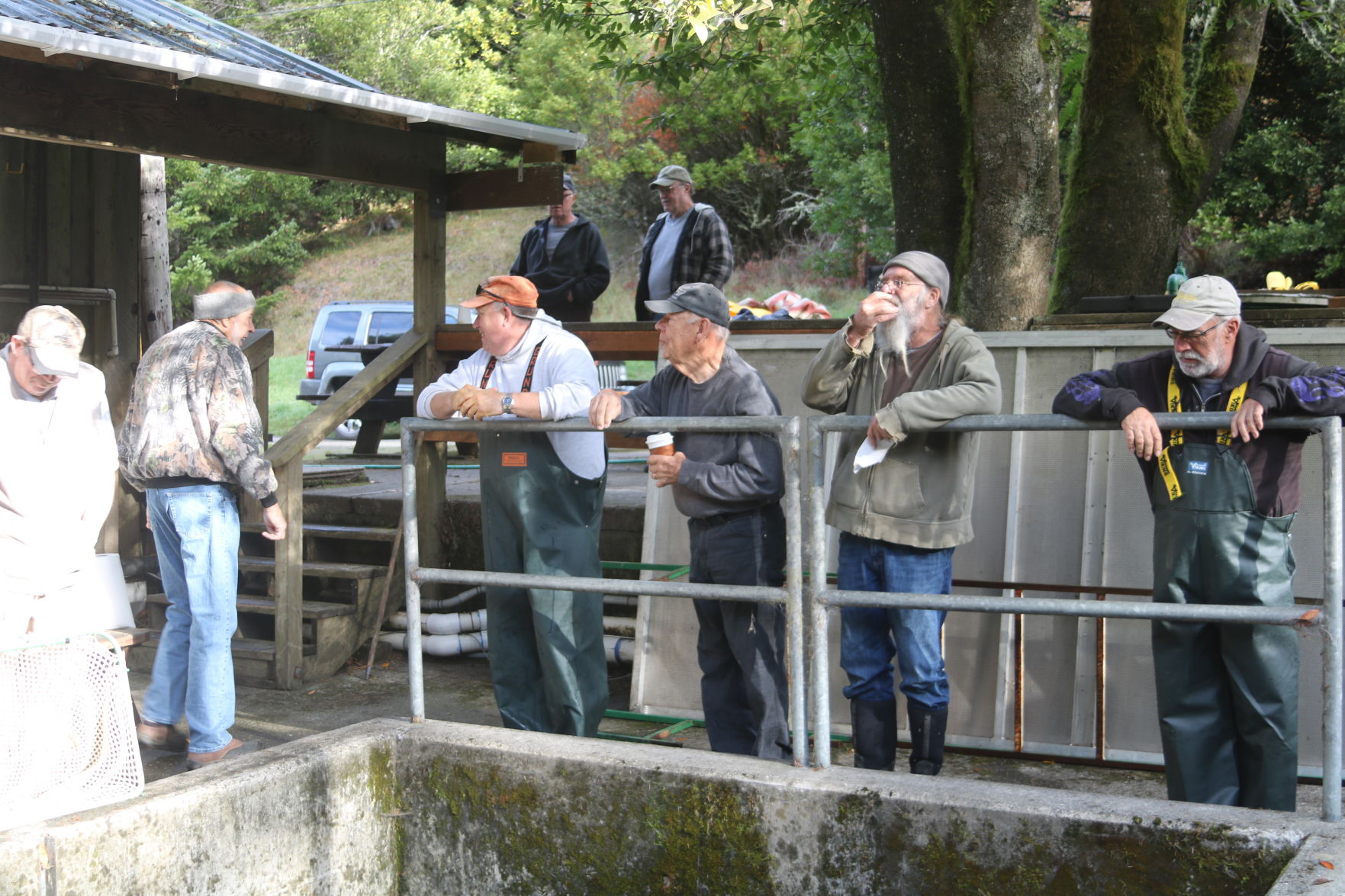Hatchery Crowd